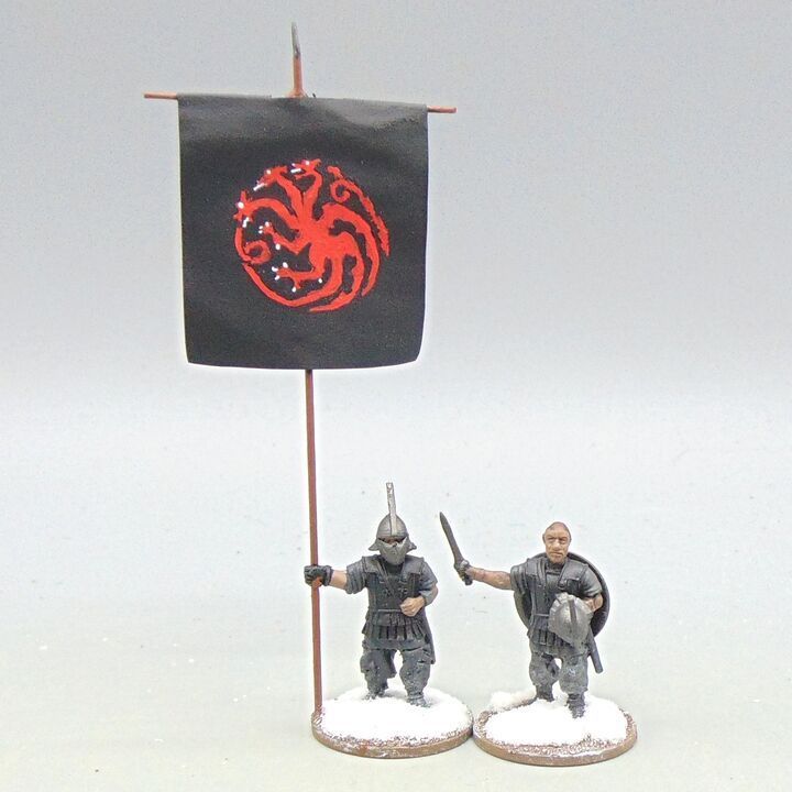 Grade D - Victrix Ltd - Fantasy/Game of Thrones - Officer & Standard Bearer