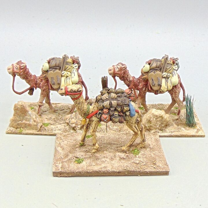 Grade D - Midlam Miniatures/Unidentified Manufacturer - Mahdist War - Dervish Baggage Camels