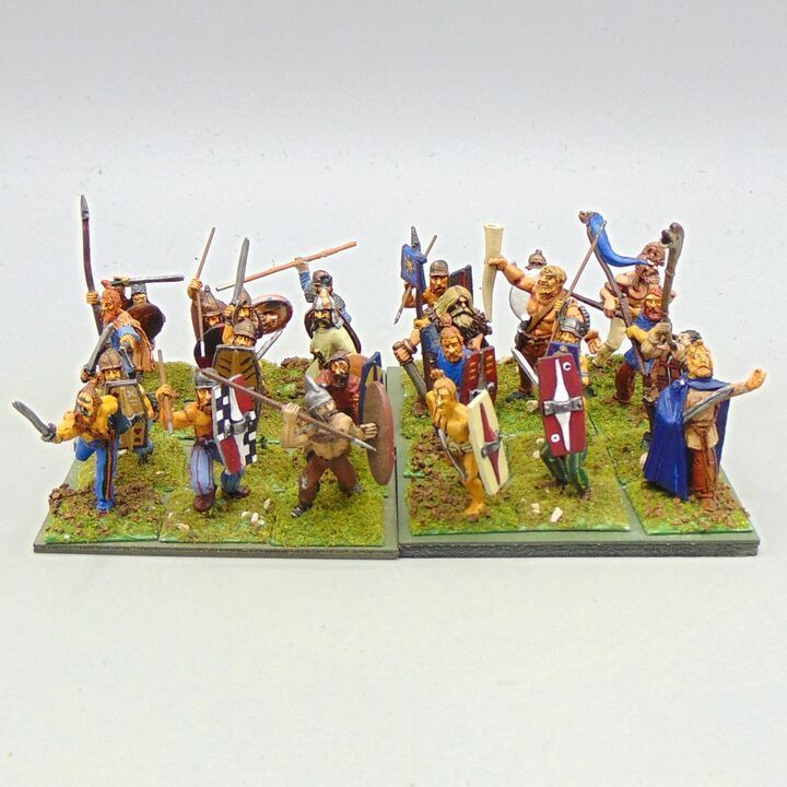 Grade E - Wargames Foundry/Old Glory - Celts/Germans - Warband
