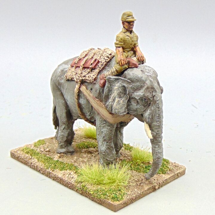 Grade D - Company B - WW2 Burma & Pacific - Japanese Draught Elephant