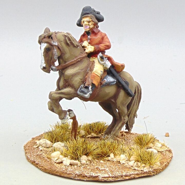 Grade D - Perry Miniatures - AWI - Mounted US Militia Colonel Grade D - Perry Miniatures - AWI - Mounted US Militia Colonel