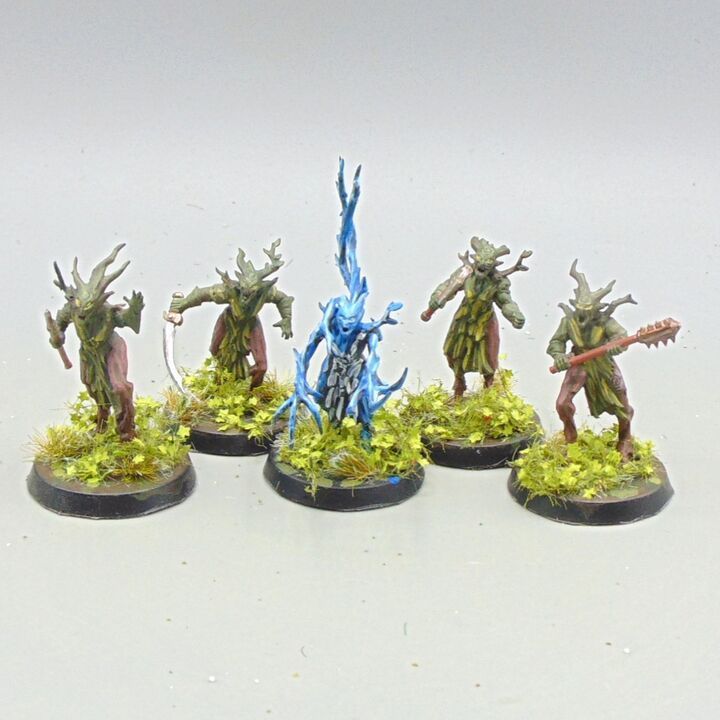 Grade D - Games Workshop - Warhammer/Fantasy - Age of Sigmar, Sylvaneth Dryads