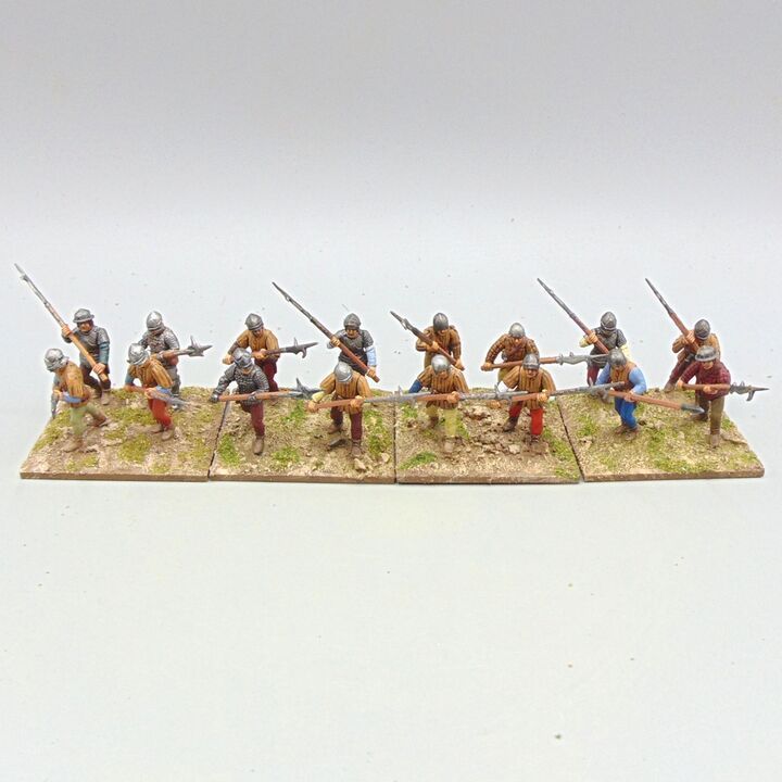 Grade D - Perry Miniatures - WOTR - Levy Billmen Grade D - Perry Miniatures - WOTR - Levy Billmen