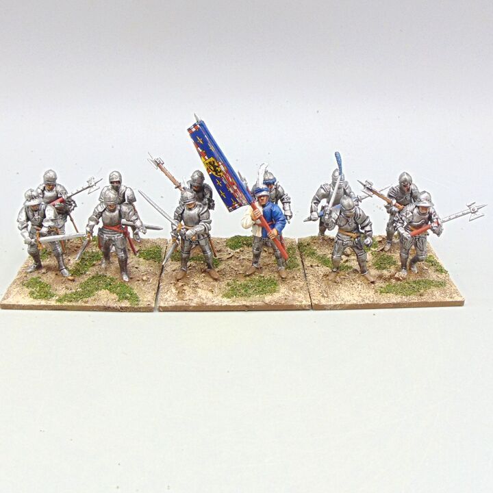 Grade D - Perry Miniatures - WOTR - Burgundian Mercenary Men at Arms Grade D - Perry Miniatures - WOTR - Burgundian Mercenary Men at Arms