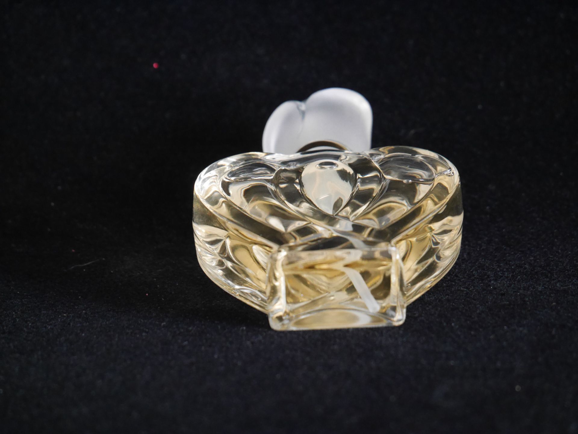 Body Mind Spirit de Tova