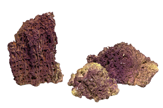 Jurassic Reef-Rock einzelne Steine pro Kg
