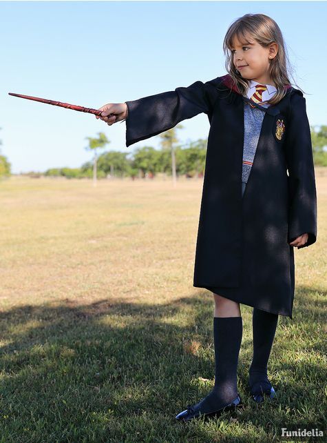 Hermine Granger Zauberstab, Harry Potter