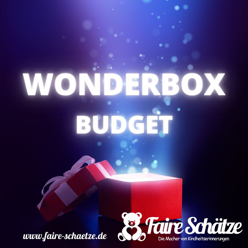 Wonderbox Budget - Mystery Paket