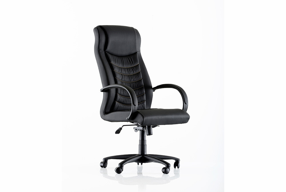 Casanova Executive Chair 2