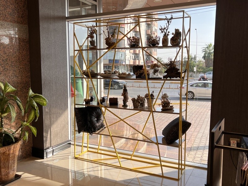 Spider  book Shelf