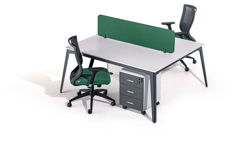 Lemas 2p workstation
