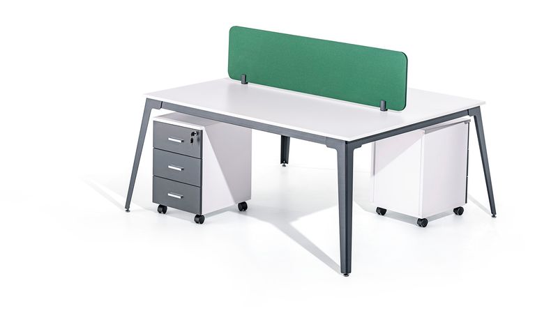 Lemas 2p workstation