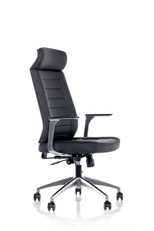Lucca Executive Chair