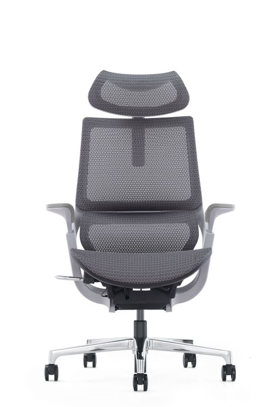 B1 A chair