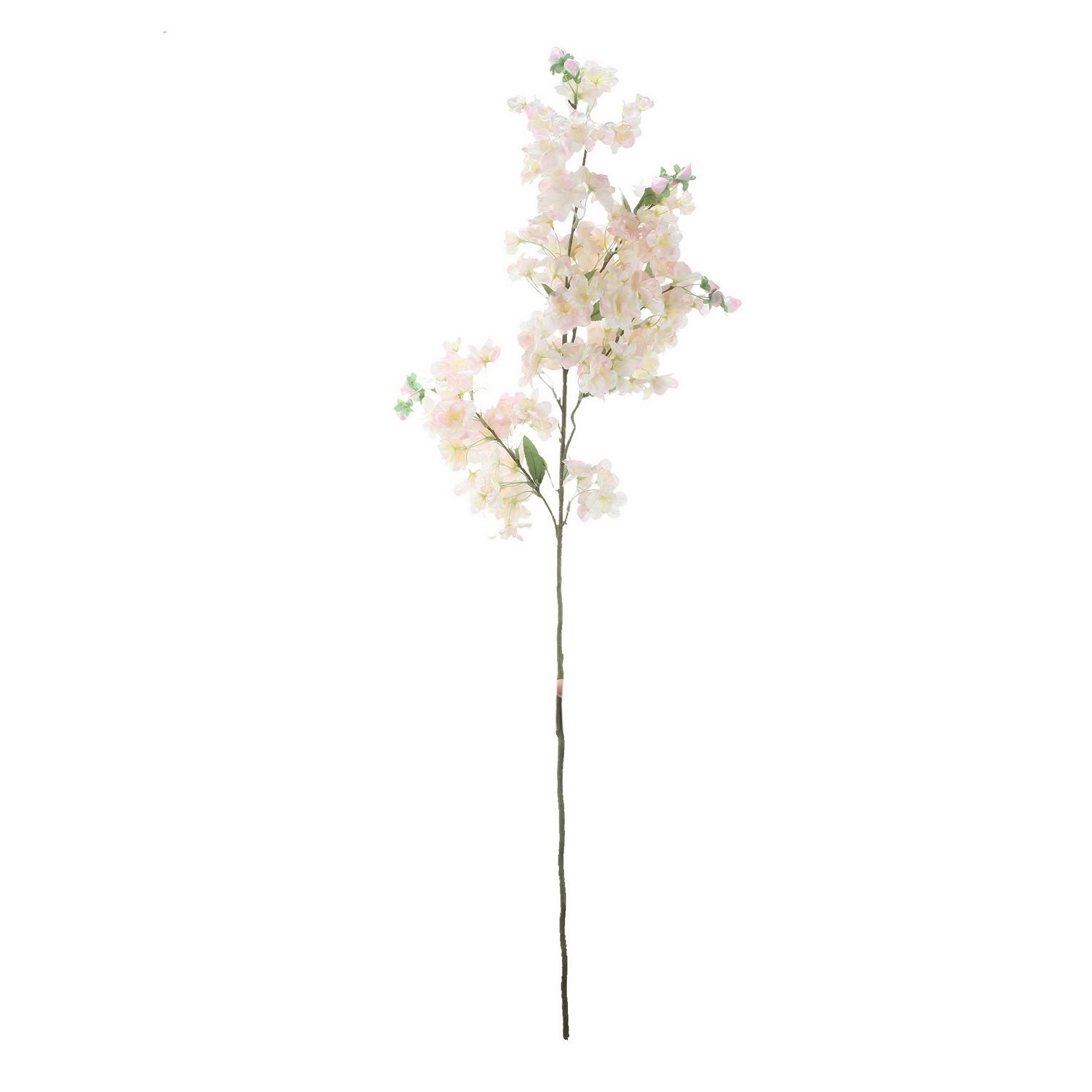 CHERRY BLOSSOM STEM