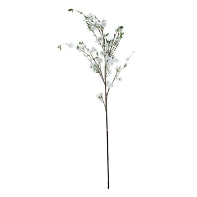 APPLE BLOSSOM BRANCH