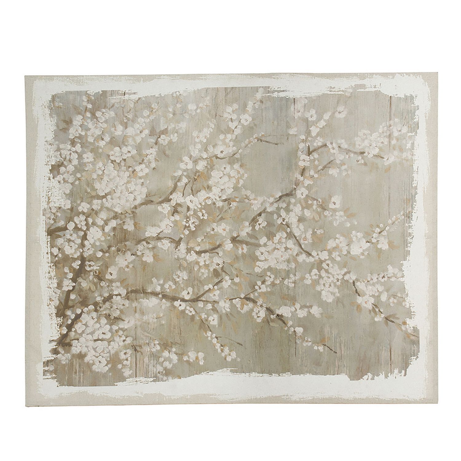 Saison White Cherry Blossom Canvas Print