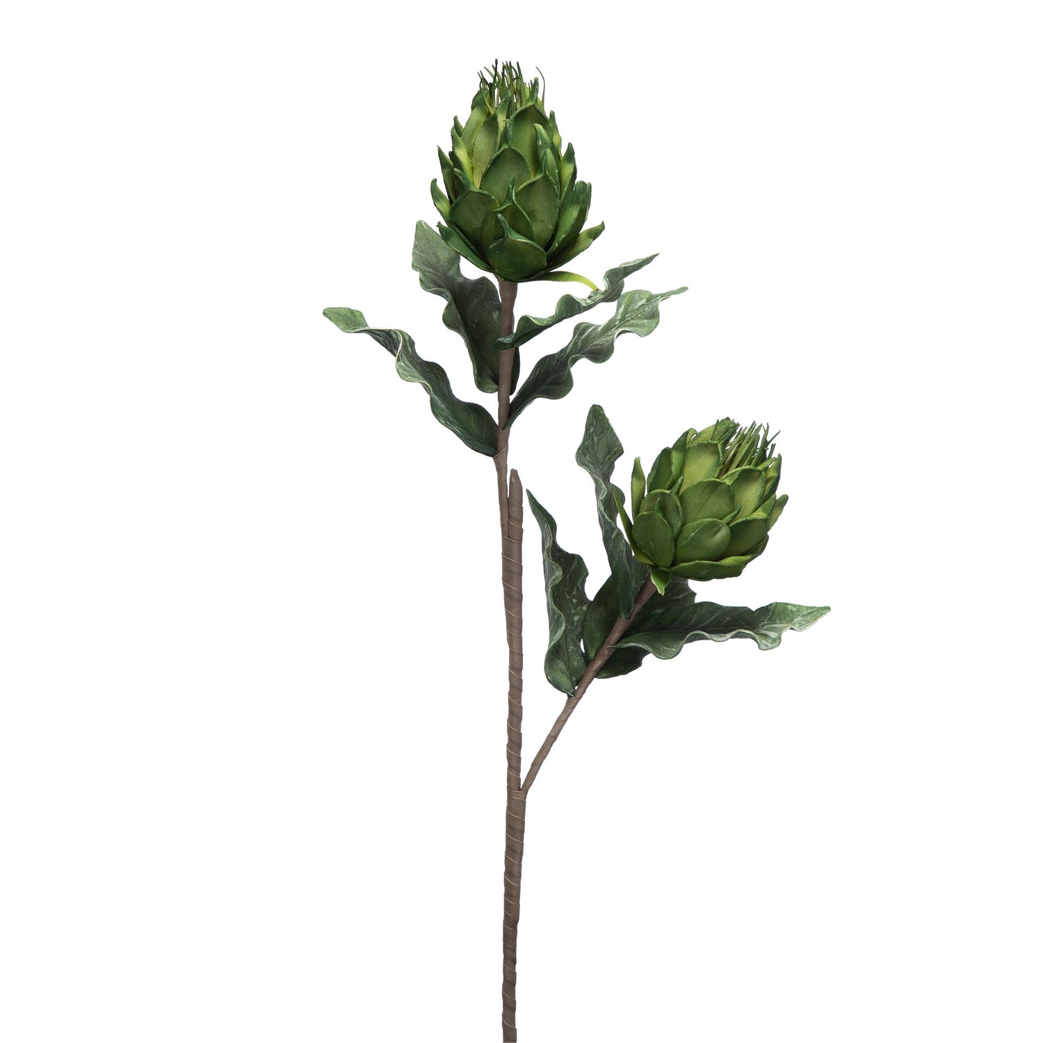 Eva Artichoke Stem