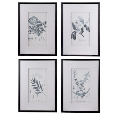 Botanical Black And White Fake Pencil Art