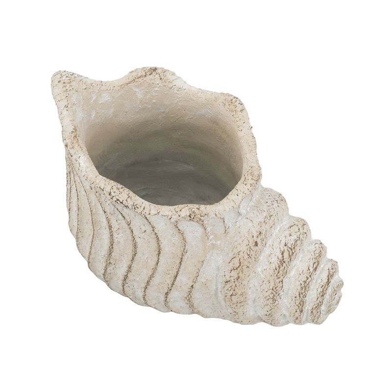 Shell Planter
