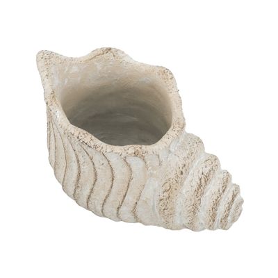 Shell Planter