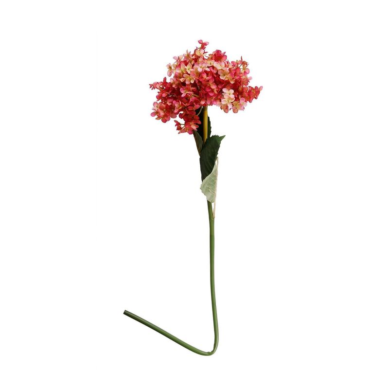 French Hydrangea, Red
