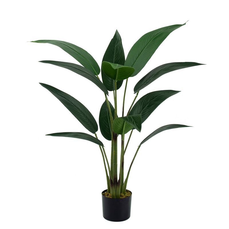 Birds Of Paradise Tree in Pot,12 Leaves