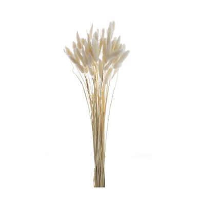 H Dried Natural Bunny Tail Bundle