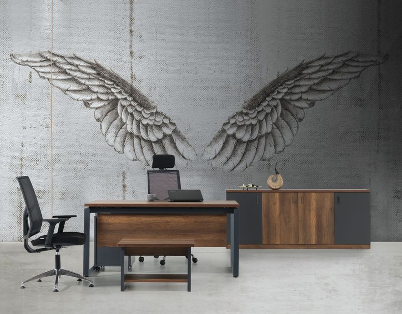 Alara office set