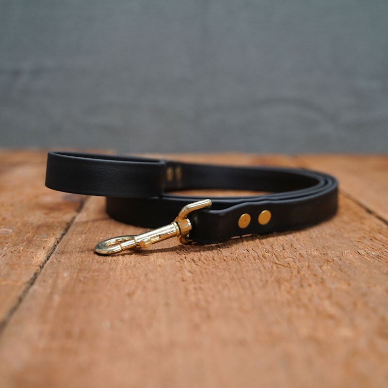 1" BETA Biothane Leash (assorted colors and lengths)