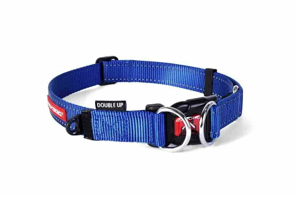 Ezydog collar sizes hotsell