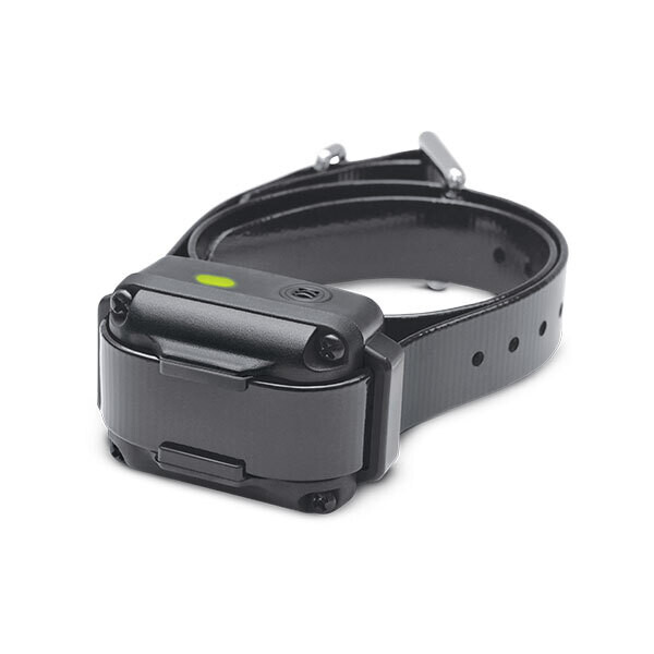 Dogtra iQ VIBE