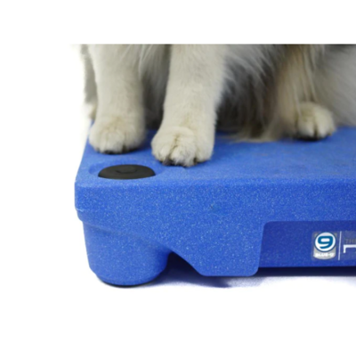 Blue-9 KLIMB Pro Dog Training Platform Kit - 14-Piece Set With Mat, Legs & Strap For Place Command