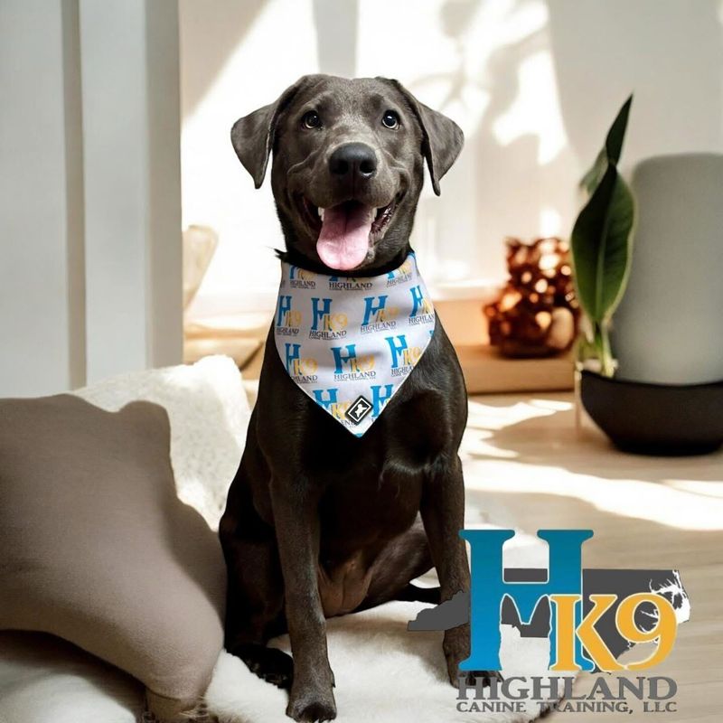 HK9 Bandana