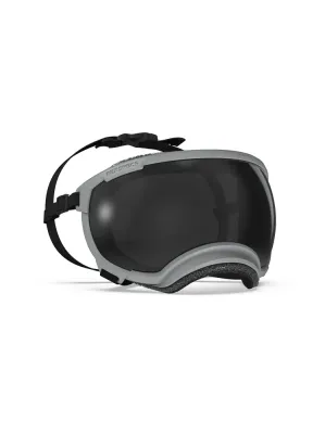 Rex Specs (Small) Rex Specs (Small)