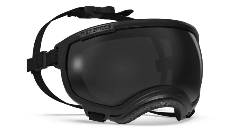 Rex Specs (Large)