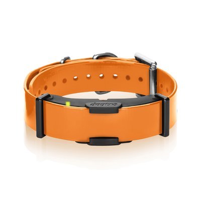 Dogtra ARC Additional Receiver (Orange)