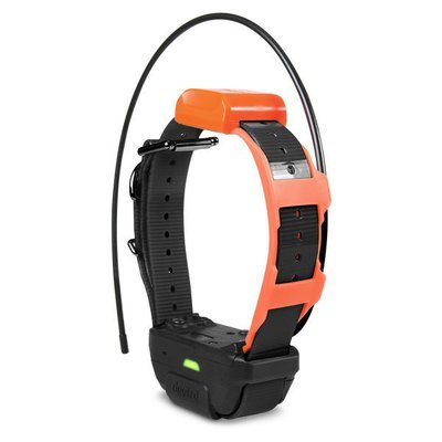 Dogtra Pathfinder TRX Additional GPS-Only Collar