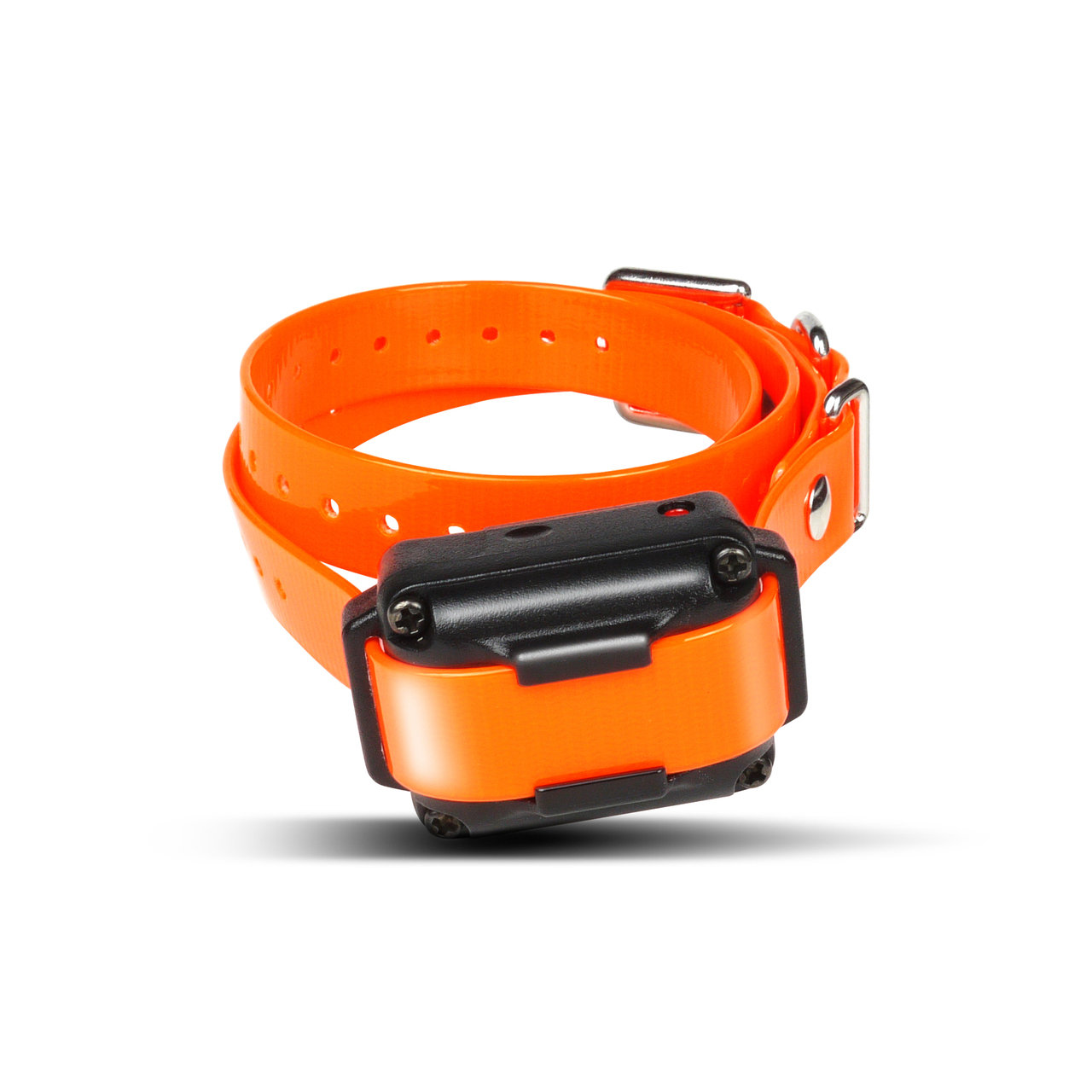 Dogtra iQ Plus+ Additional Receiver/Collar