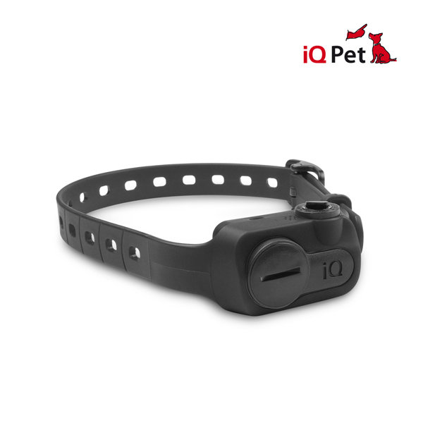Dogtra iQ No Bark (Black)