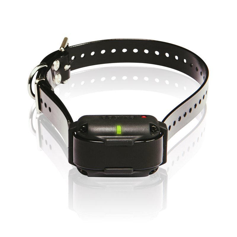 Dogtra Edge RT Additional Receiver