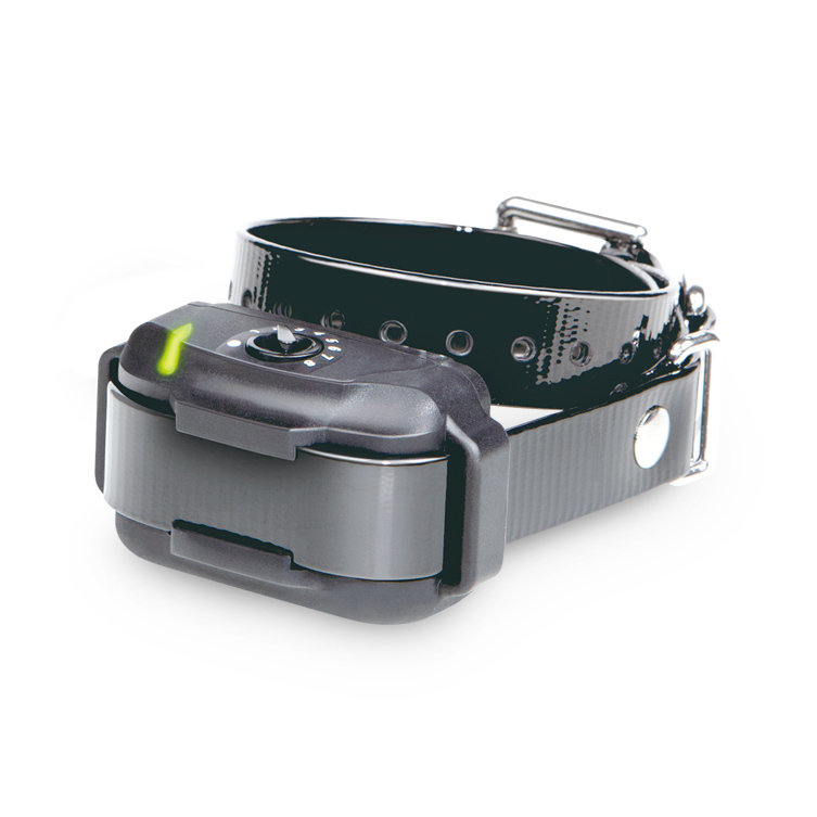 Dogtra EFence-3500 Additional Receiver