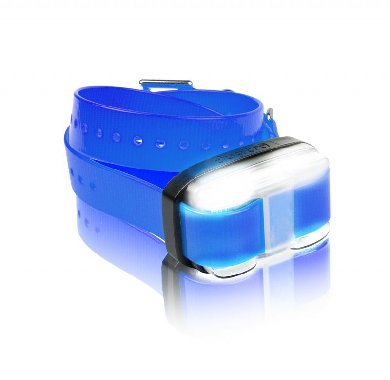 Dogtra Edge Additional Receiver