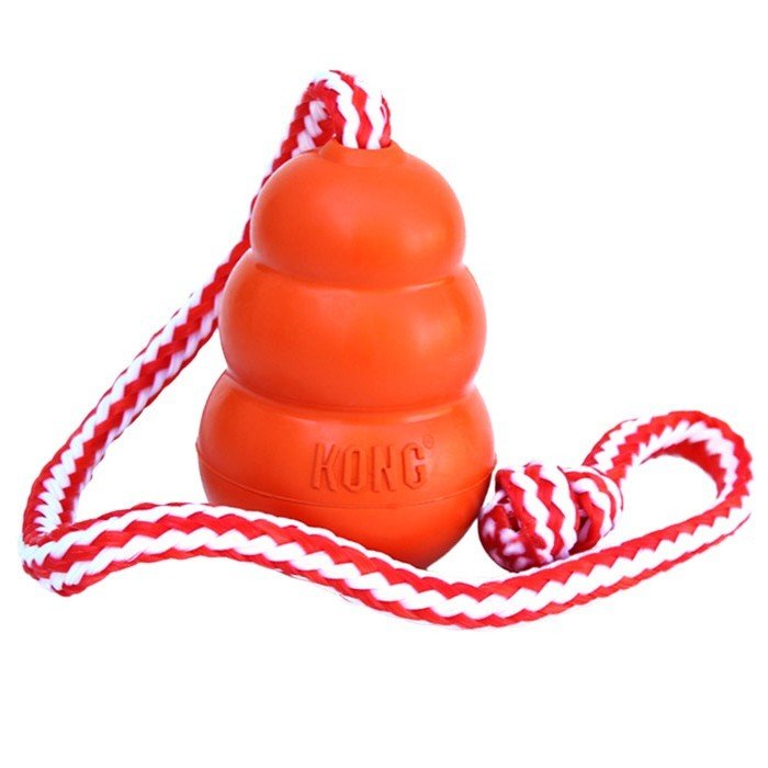 Kong Aqua Large (Orange) with Rope Dog Training Products Highland