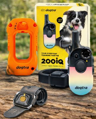 E-Collar Accessories