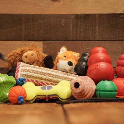 Dog Toys & Rewards