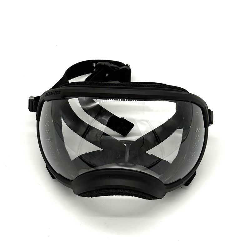 Rex Specs - V2 - Black