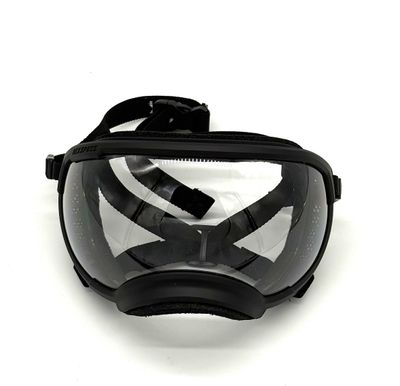 Rex Specs - V2 - Black