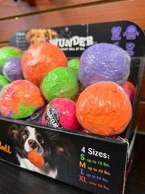 WUNDERBalls - Bounce & Fetch