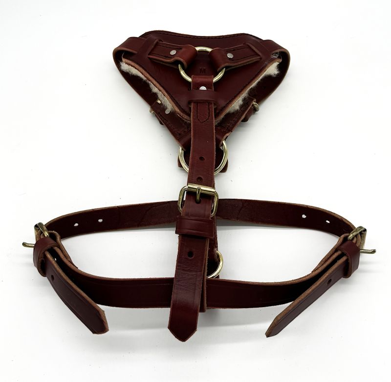 Leather Padded Harness - Burgundy